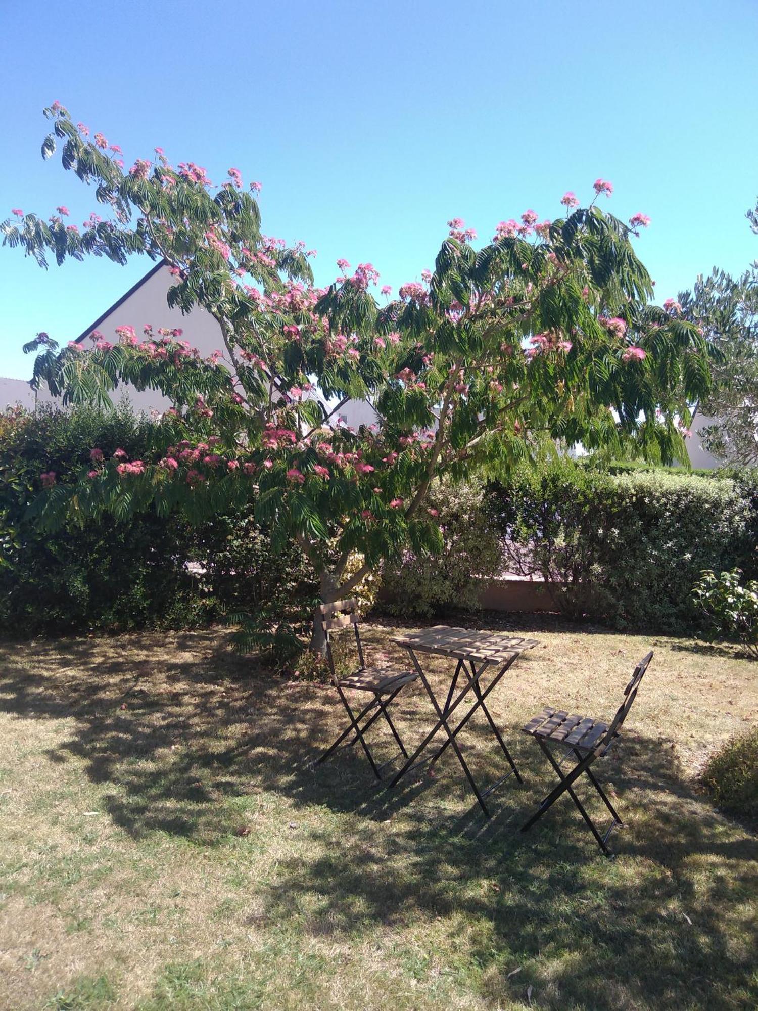 Chambre Agreable Au Calme Saint-Hilaire-Petitville 외부 사진